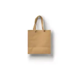 كيس بني